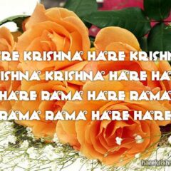 Hare Krishna Maha Mantra 171