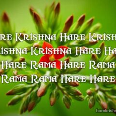 Hare Krishna Maha Mantra in French 030