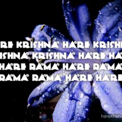 Hare Krishna Maha Mantra 190