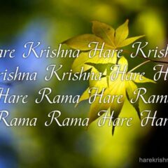 Hare Krishna Maha Mantra 197