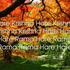 Hare Krishna Maha Mantra 200