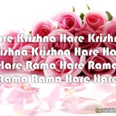 Hare Krishna Maha Mantra 201