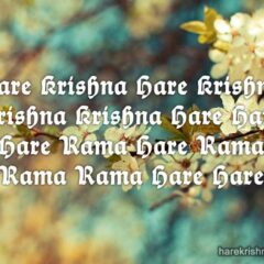 Hare Krishna Maha Mantra 203