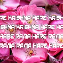 Hare Krishna Maha Mantra 205