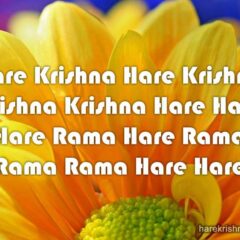 Hare Krishna Maha Mantra 206