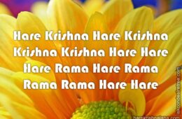 Hare Krishna Maha Mantra 206
