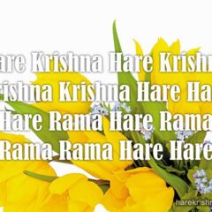 Hare Krishna Maha Mantra 212