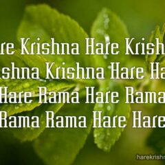 Hare Krishna Maha Mantra 219