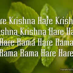 Hare Krishna Maha Mantra 219