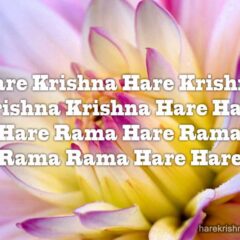 Hare Krishna Maha Mantra in Spanish 029