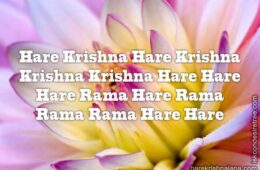 Hare Krishna Maha Mantra in Spanish 029