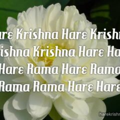 Hare Krishna Maha Mantra 227