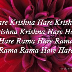 Hare Krishna Maha Mantra in Spanish 027