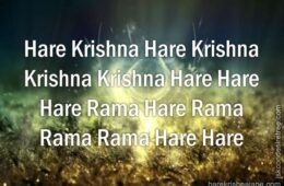 Hare Krishna Maha Mantra 231