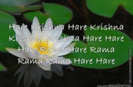 Hare Krishna Maha Mantra 234