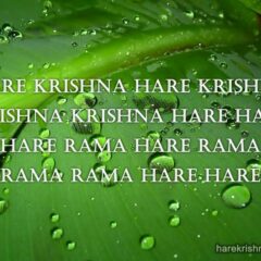 Hare Krishna Maha Mantra 235