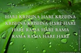 Hare Krishna Maha Mantra 235