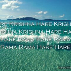 Hare Krishna Maha Mantra 236