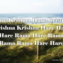 Hare Krishna Maha Mantra 237