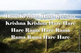 Hare Krishna Maha Mantra 237