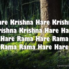 Hare Krishna Maha Mantra 240