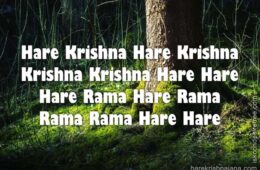 Hare Krishna Maha Mantra 240