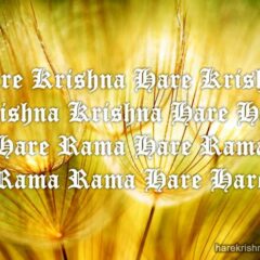 Hare Krishna Maha Mantra 241