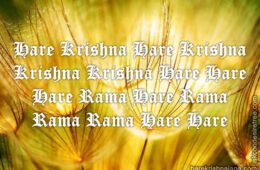 Hare Krishna Maha Mantra 241