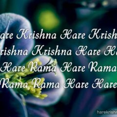 Hare Krishna Maha Mantra 243