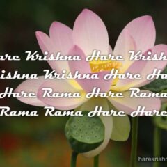 Hare Krishna Maha Mantra 244