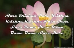 Hare Krishna Maha Mantra 244