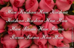 Hare Krishna Maha Mantra 245