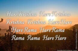 Hare Krishna Maha Mantra 250