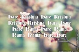 Hare Krishna Maha Mantra 251