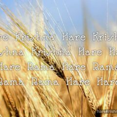 Hare Krishna Maha Mantra in Spanish 024