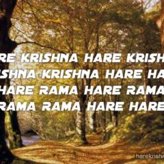 Hare Krishna Maha Mantra 253