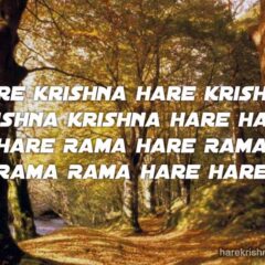 Hare Krishna Maha Mantra 253