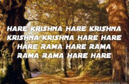 Hare Krishna Maha Mantra 253