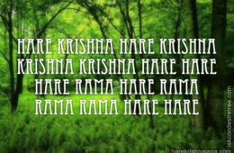 Hare Krishna Maha Mantra 254