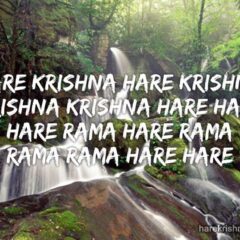 Hare Krishna Maha Mantra 255