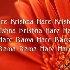 Hare Krishna Maha Mantra 259