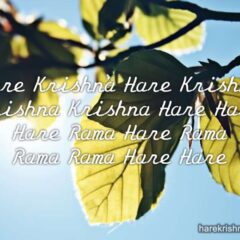 Hare Krishna Maha Mantra 260