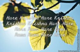 Hare Krishna Maha Mantra 260