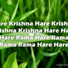 Hare Krishna Maha Mantra 262