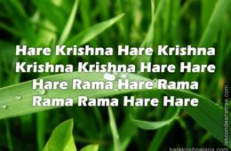 Hare Krishna Maha Mantra 262