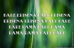 Hare Krishna Maha Mantra 263