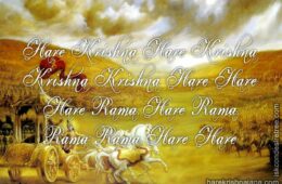 Hare Krishna Maha Mantra 270