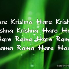 Hare Krishna Maha Mantra 274
