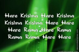 Hare Krishna Maha Mantra 274