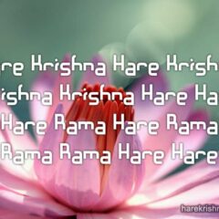Hare Krishna Maha Mantra 276
